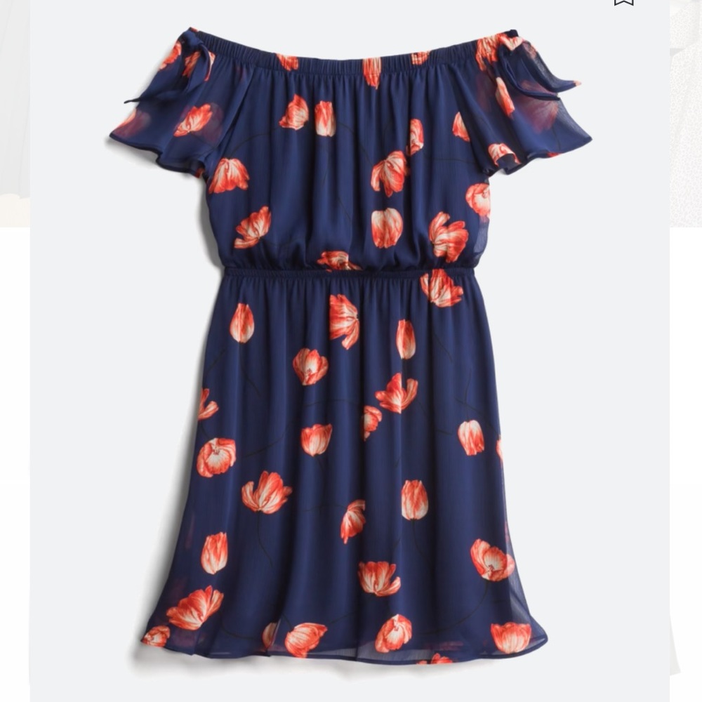 NWT, Off the Shoulder Dress, 1X